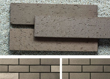 Matériau de construction extérieur de mur d'argile de panneaux de mur de placage de brique avec la surface approximative
