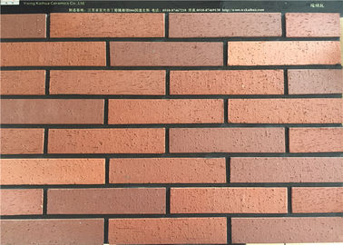 Couleur mélangée décorative/placage brique de cru pour le mur extérieur construisant 240x60mm