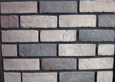 Brique artificielle extérieure de taille standard avec la couleur de variété pour le mur
