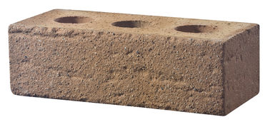 Briques perforées d'argile de résistance à l'usure pour le bâtiment de mur adapté aux besoins du client