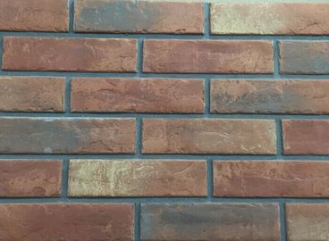 argile intérieur tourné de mur de briques de couleur de la résistance 3D206 acide matériel