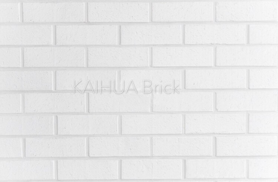 Approbation mince d'OIN de placage de brique de la couleur M36401 d'argile de visage de mur de longue durée blanche de brique