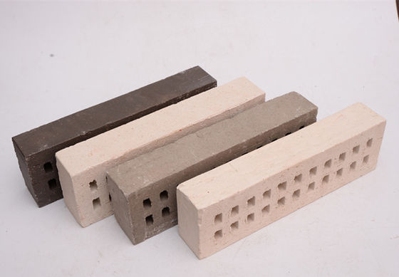 force de Clay Brick Construction High Compressive de cavité de taille standard de 290x90x50mm