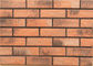 Résistance à l'usure extérieure de mur de briques de placage du solide 3DWN02 pour la conception de construction de logements