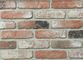 panneaux de mur de briques d'intérieur du Faux 5D20-6, tuiles extérieures de brique d'argile pour des murs 210x55x12mm