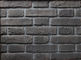 Absorption de basse mer mince de matériaux d'immeuble de brique de placage de mur antique d'argile