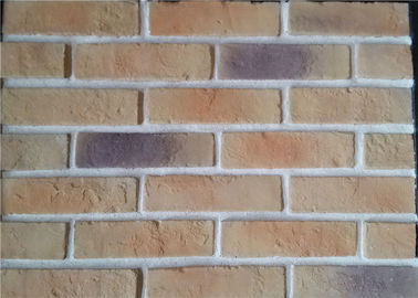 Panneaux extérieurs artificiels légers de brique de Faux pour l'appartement/hôpital/université