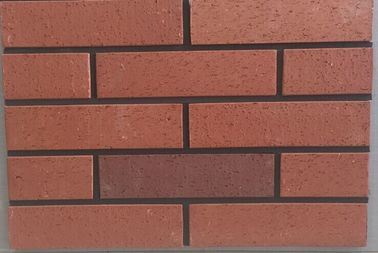 Placage décoratif rouge de brique, tuiles écologiques de brique de mur extérieur