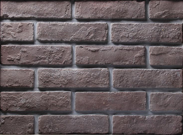Mur de briques mince de construction de placage avec la taille 205x55x12mm, résistance à l'usure