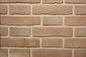 Gamme extérieure spéciale de la taille 200x55x12mm Clay Brick For Wall Decoration de couleurs intérieur et extérieur