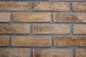 Gamme extérieure spéciale de la taille 200x55x12mm Clay Brick For Wall Decoration de couleurs intérieur et extérieur