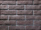 Dactylographiez une série construisant la brique mince de placage avec la taille 205x55x12mm pour le mur